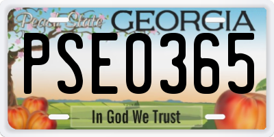 GA license plate PSE0365