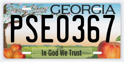 GA license plate PSE0367