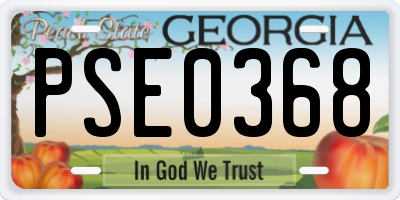 GA license plate PSE0368