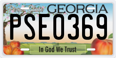 GA license plate PSE0369