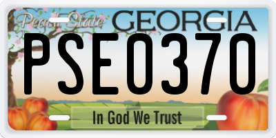 GA license plate PSE0370