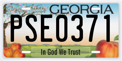 GA license plate PSE0371