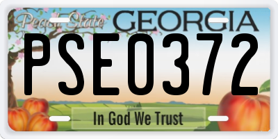 GA license plate PSE0372
