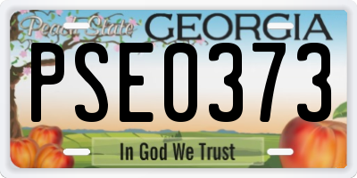 GA license plate PSE0373