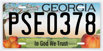 GA license plate PSE0378