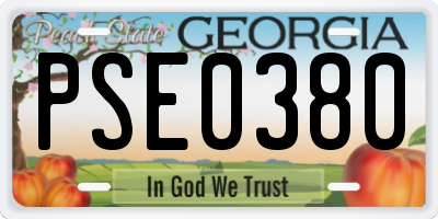 GA license plate PSE0380