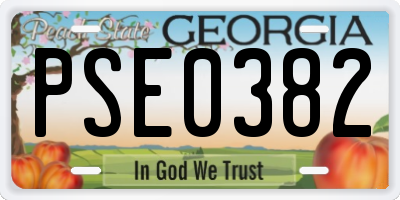 GA license plate PSE0382
