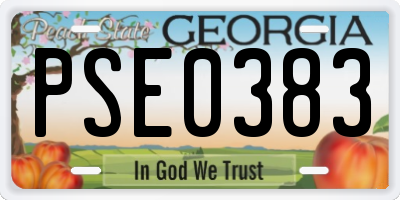 GA license plate PSE0383