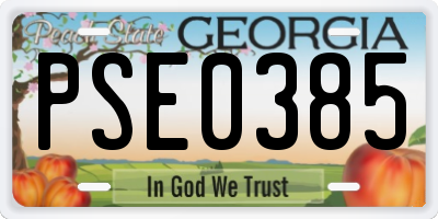 GA license plate PSE0385