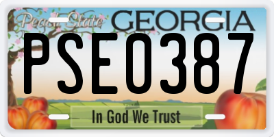 GA license plate PSE0387