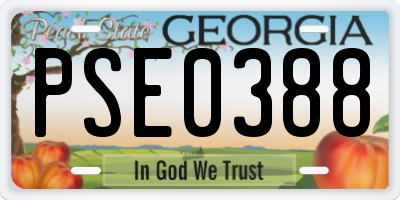 GA license plate PSE0388