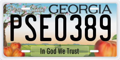GA license plate PSE0389