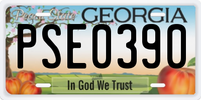 GA license plate PSE0390