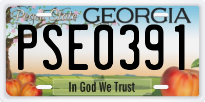 GA license plate PSE0391