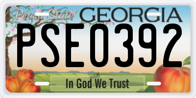 GA license plate PSE0392