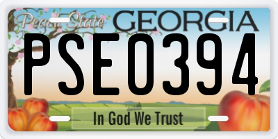 GA license plate PSE0394