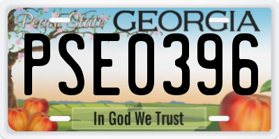 GA license plate PSE0396