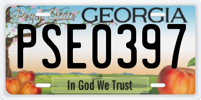 GA license plate PSE0397