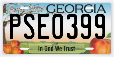 GA license plate PSE0399