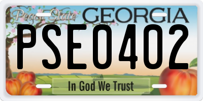 GA license plate PSE0402