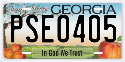 GA license plate PSE0405