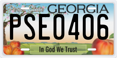 GA license plate PSE0406