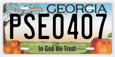 GA license plate PSE0407