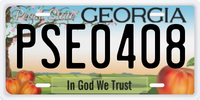 GA license plate PSE0408