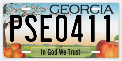 GA license plate PSE0411