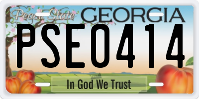 GA license plate PSE0414