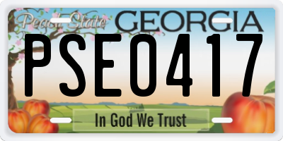 GA license plate PSE0417