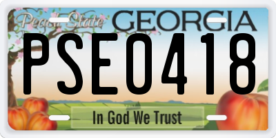 GA license plate PSE0418