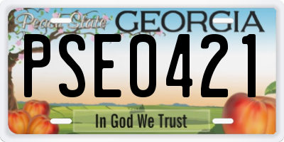 GA license plate PSE0421