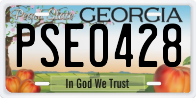 GA license plate PSE0428