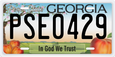 GA license plate PSE0429