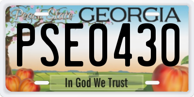 GA license plate PSE0430