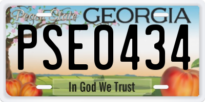 GA license plate PSE0434