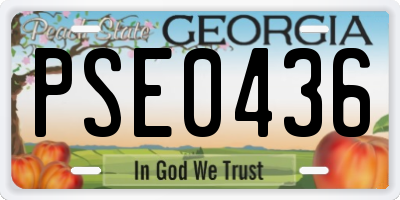 GA license plate PSE0436
