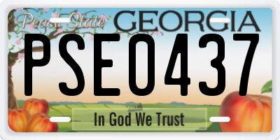 GA license plate PSE0437