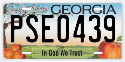 GA license plate PSE0439
