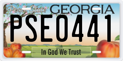 GA license plate PSE0441