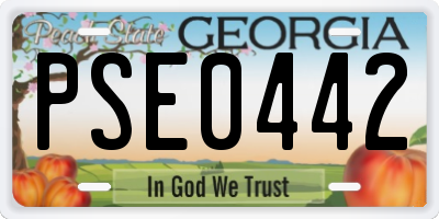 GA license plate PSE0442