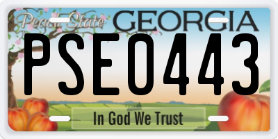 GA license plate PSE0443
