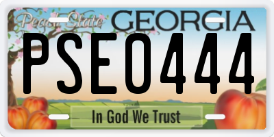 GA license plate PSE0444