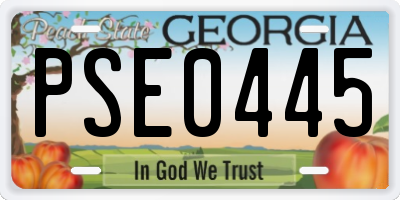 GA license plate PSE0445