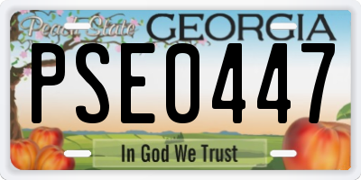 GA license plate PSE0447