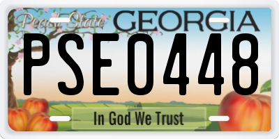 GA license plate PSE0448