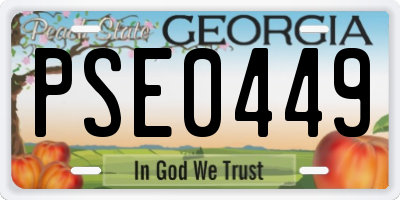 GA license plate PSE0449