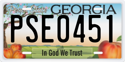GA license plate PSE0451