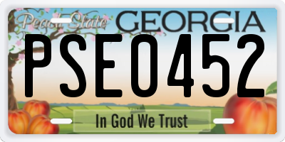 GA license plate PSE0452